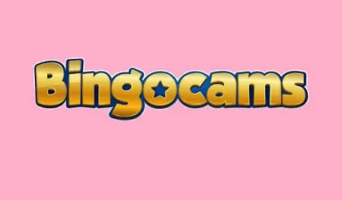 Bingocams