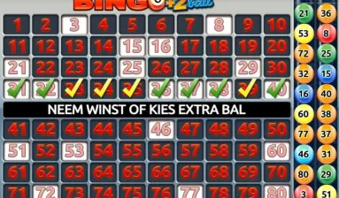 holland casino bingo online spelen