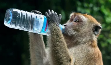 App drinkt water uit fles