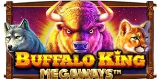 Buffalo King Megaways